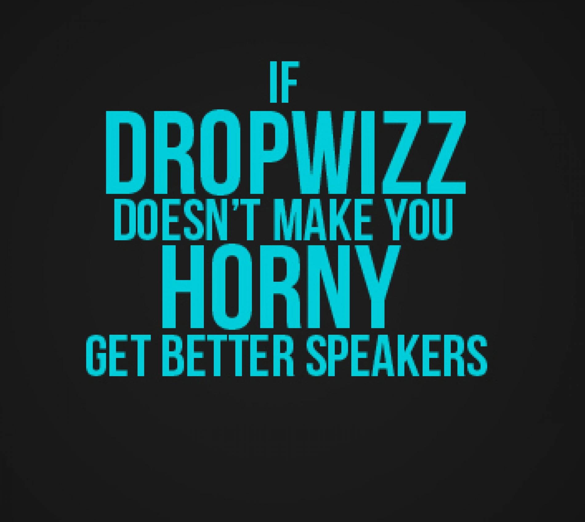 Dropwizz Be Having More Bootleg Remixes For Ya