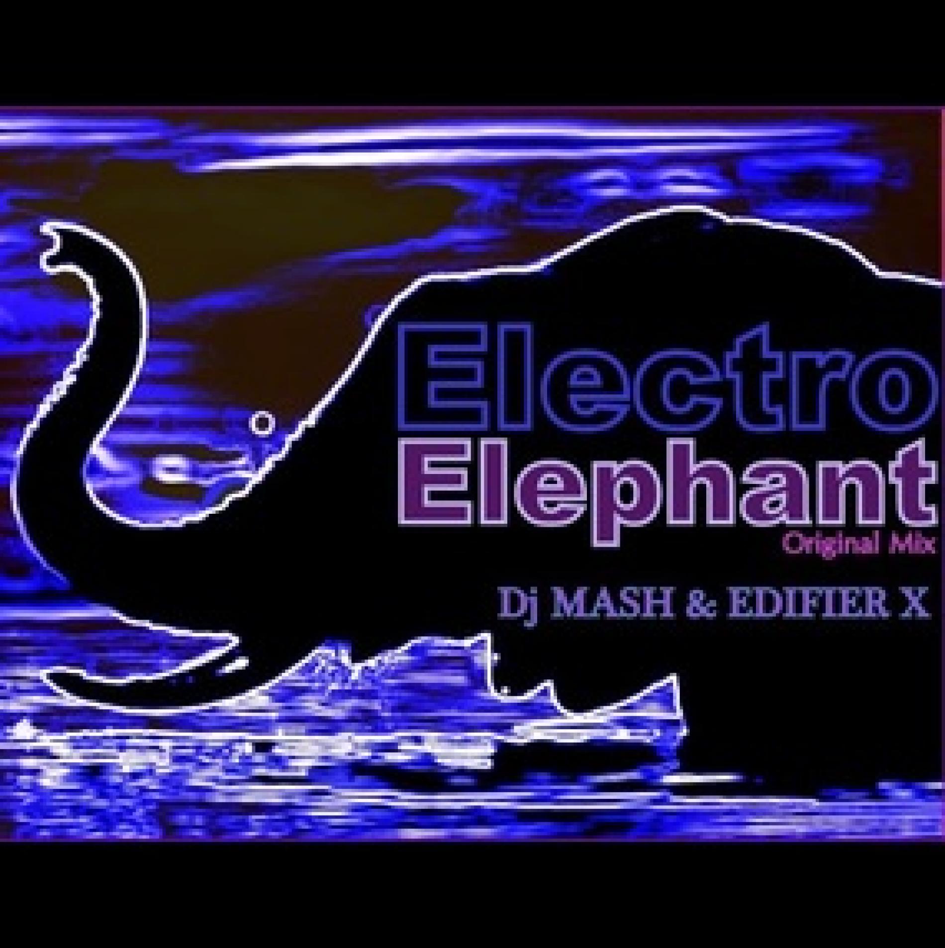 Nuuu Mujika: Electro Elephant By Dj Mash