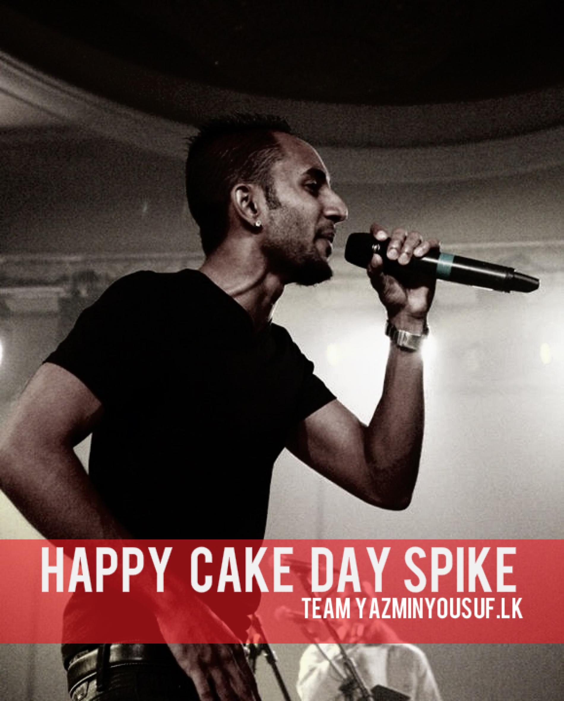 Happy Cake Day Spike