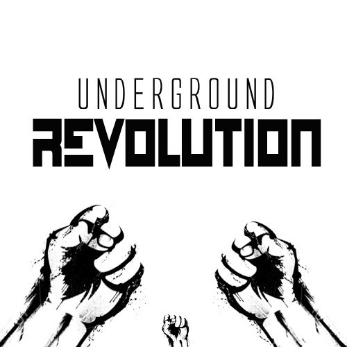 Flippy:Underground Revolution