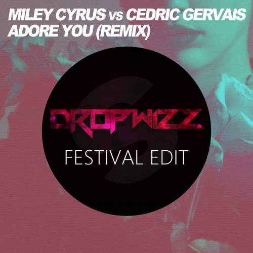 Dropwizz Gives Adore You The Festival Edit Treatment