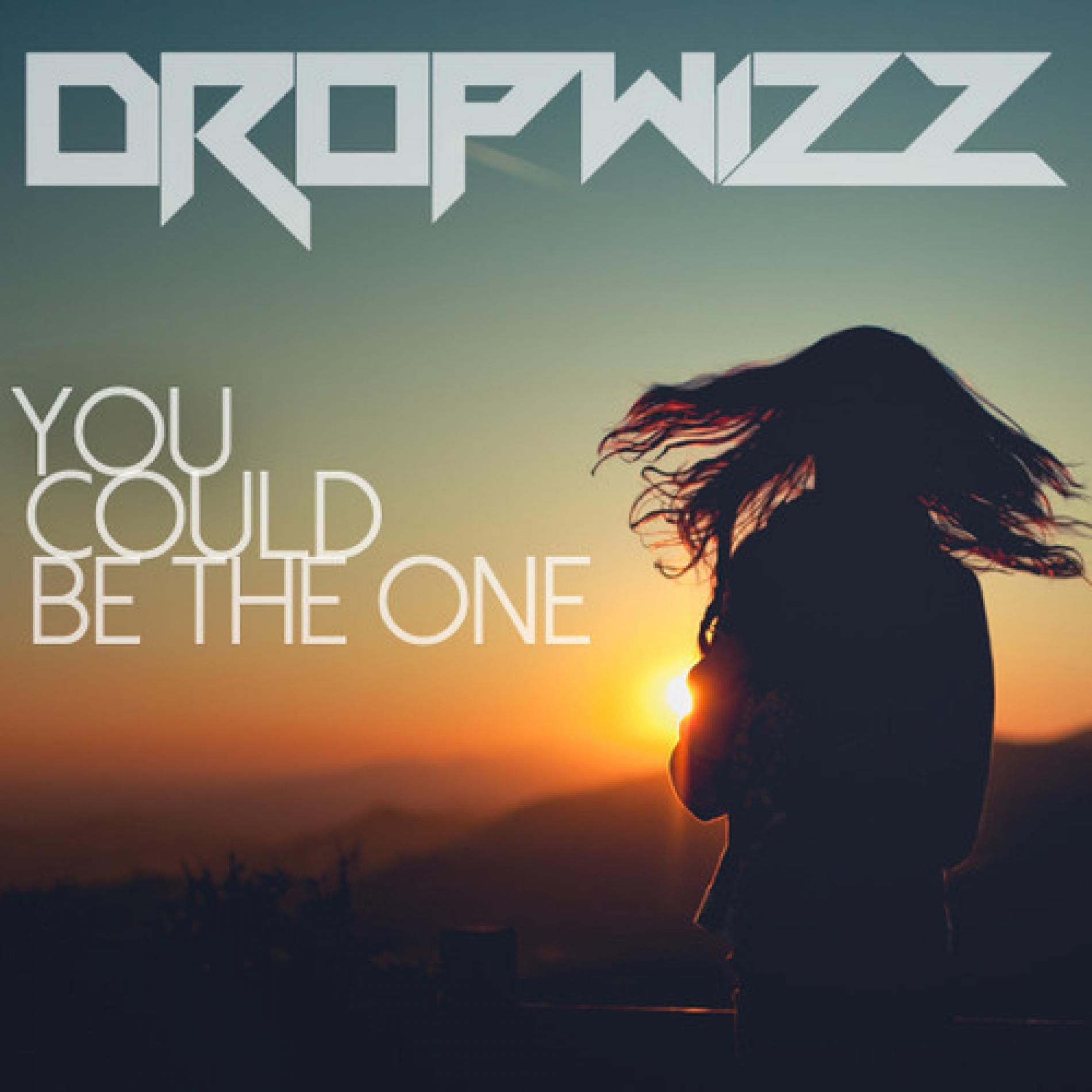 Dropwizz – You Could Be The One