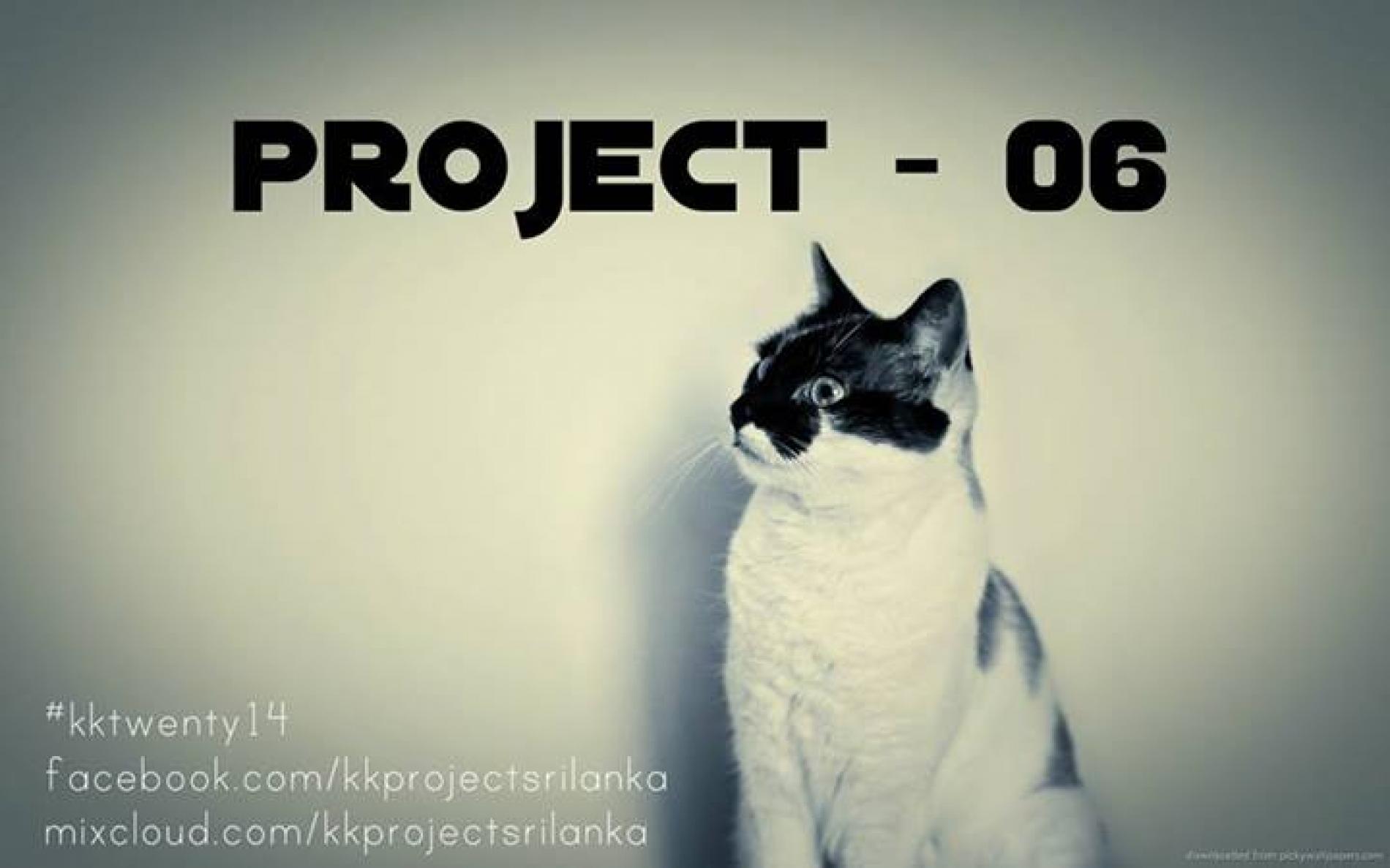 Kk Project: Project 6