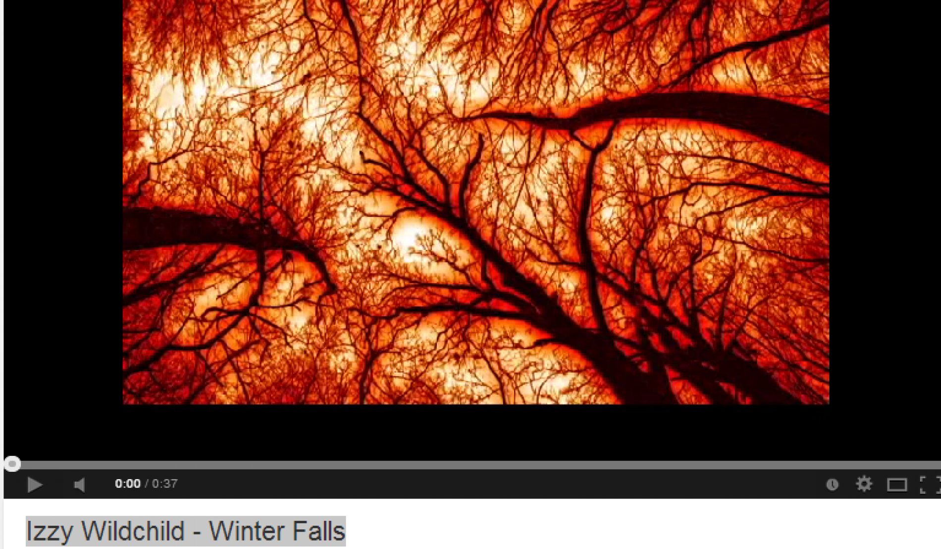 Izzy Wildchild – Winter Falls (teaser)