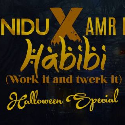 Ranidu X Amr Diab – HABIBI (Work it and twerk it) <Halloween Special>