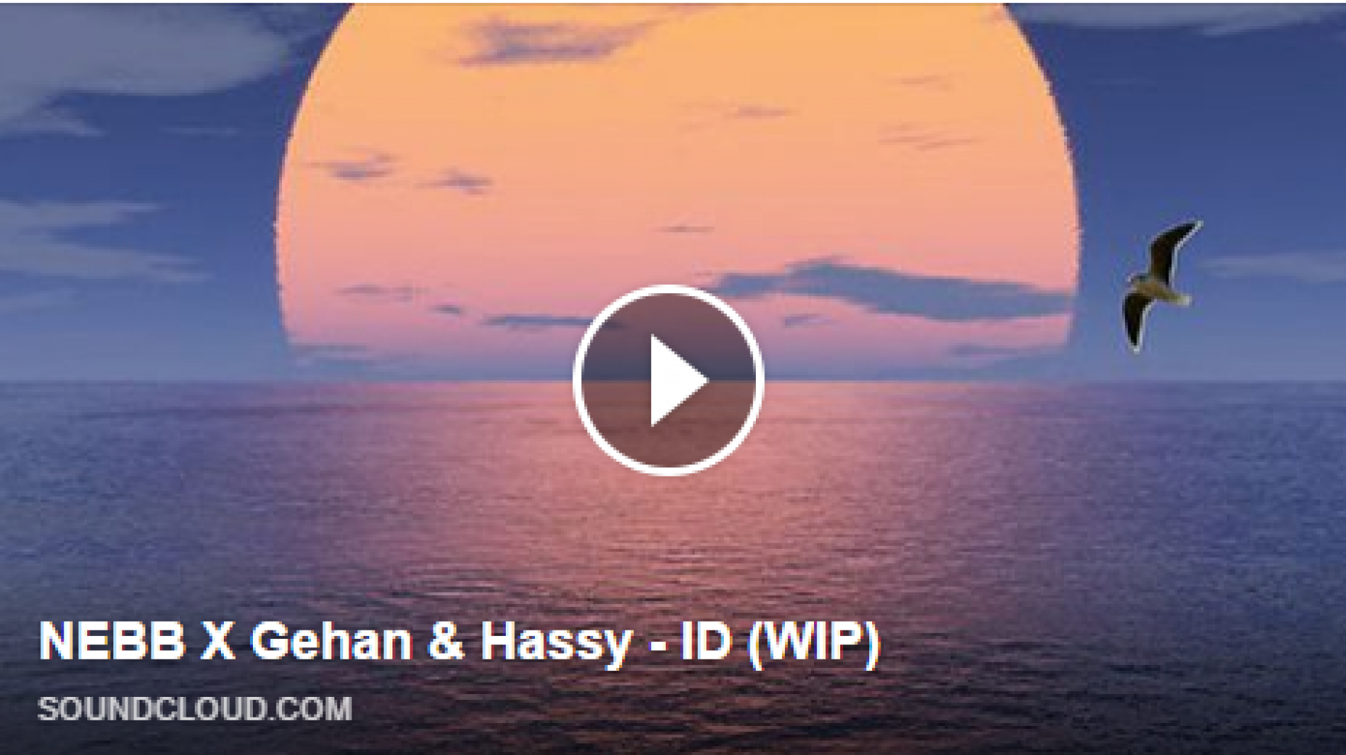 NEBB X Gehan & Hassy – ID (WIP)