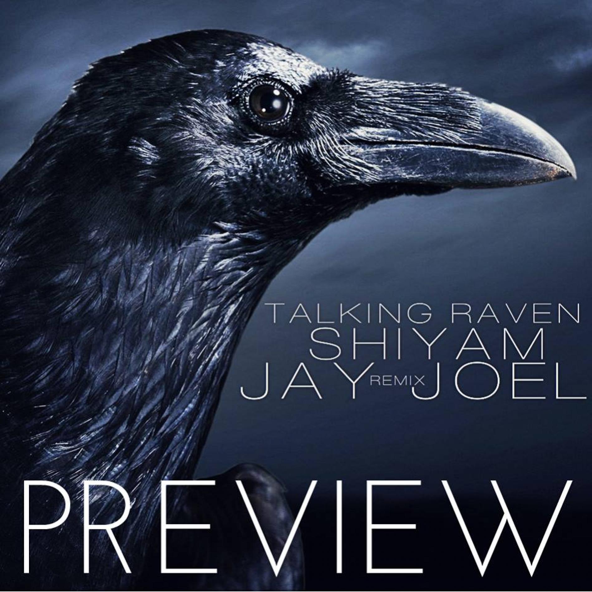 Jay Joel: “Talking Raven”(Nu Disco Remix)