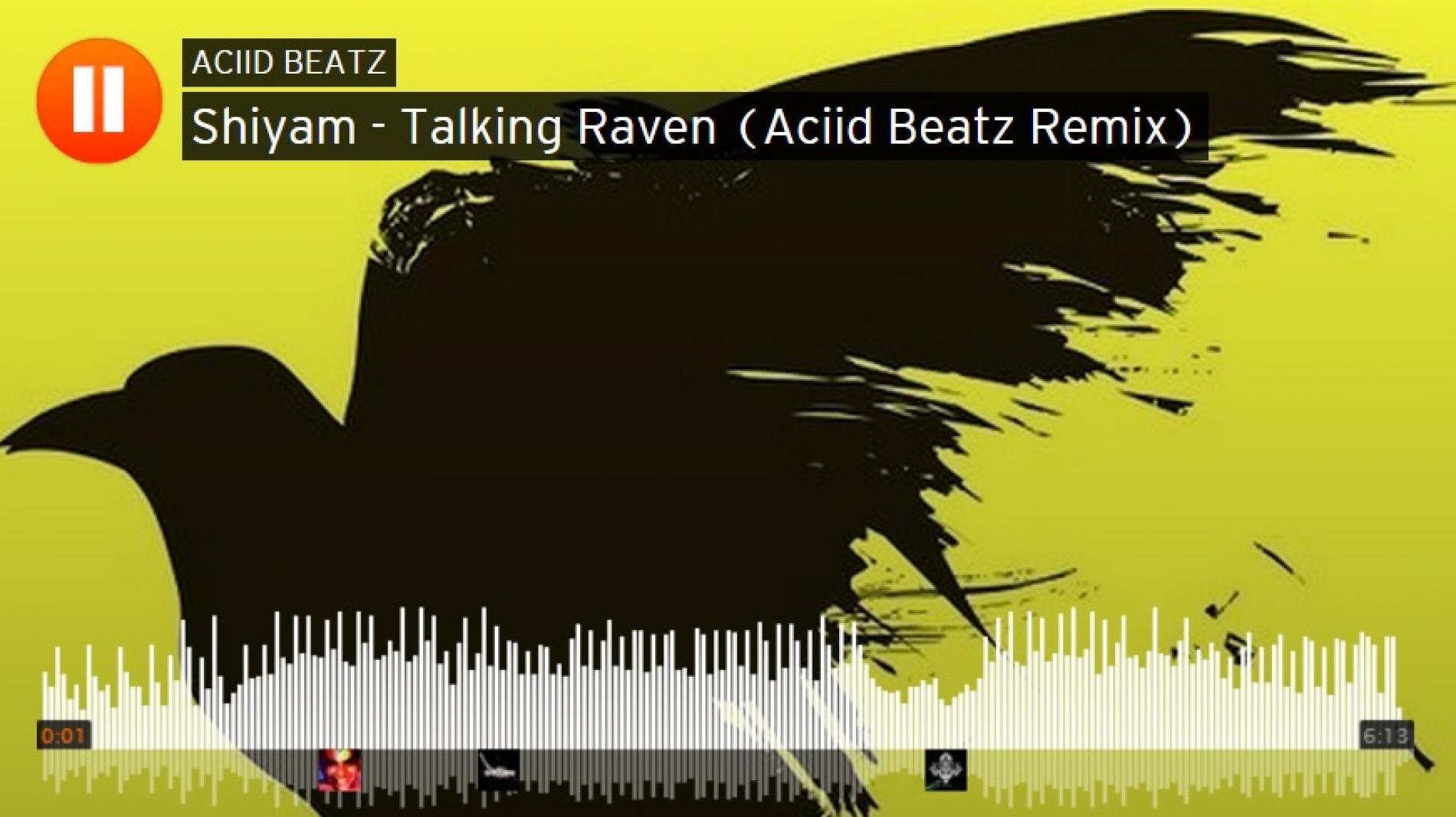 Aciid Beatz – Talking Raven (Remix)
