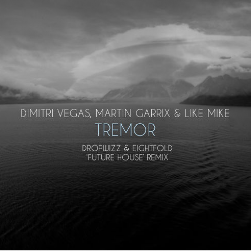 Dropwizz & Eightfold – DV, Martin Garrix & LM – Tremor (‘Futcha House’ Remix)