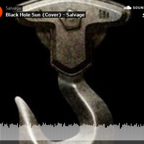 Salvage: Black Hole Sun (Cover)