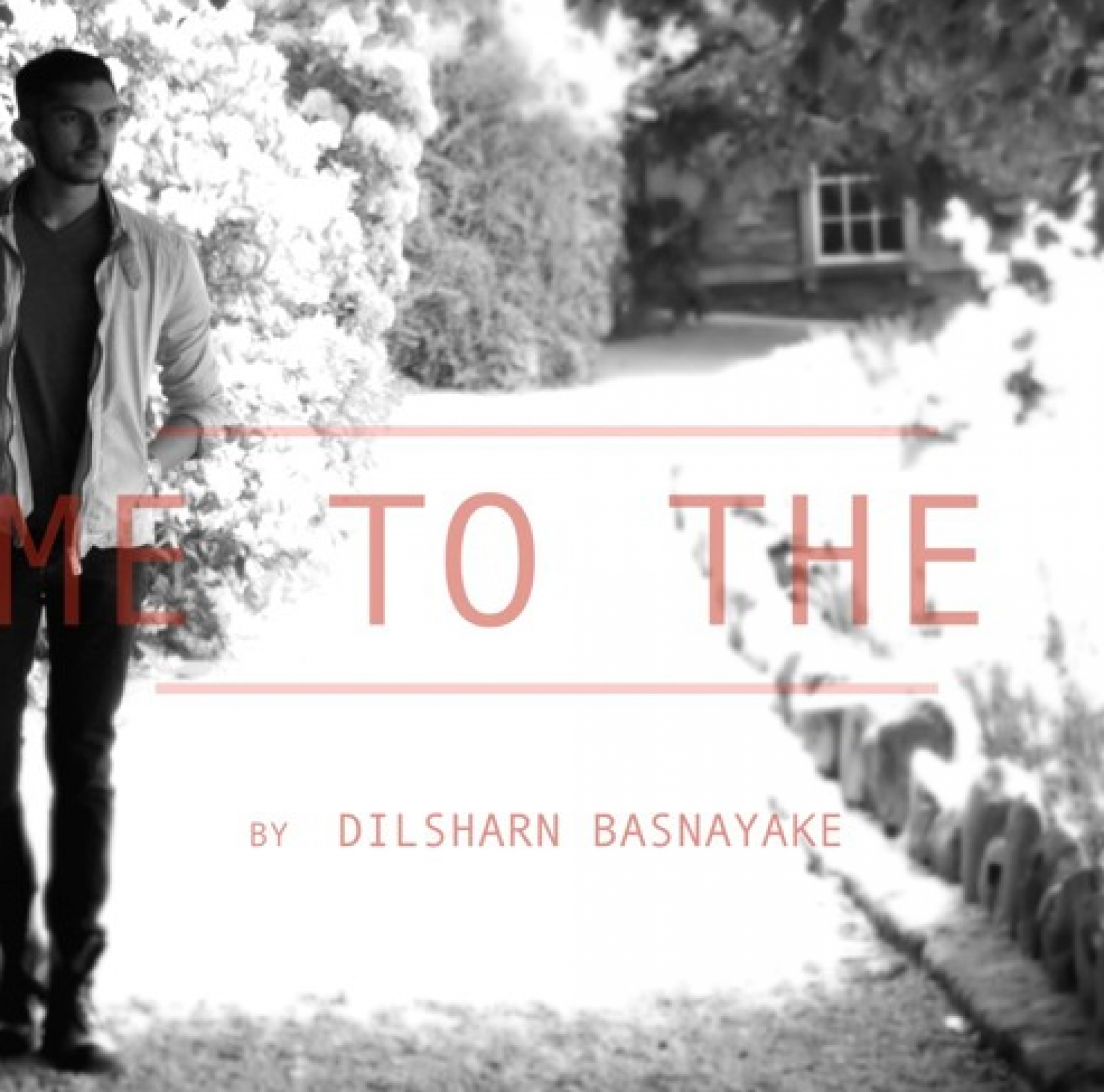 Dilsharn Basnayake – Fly Me To The Moon