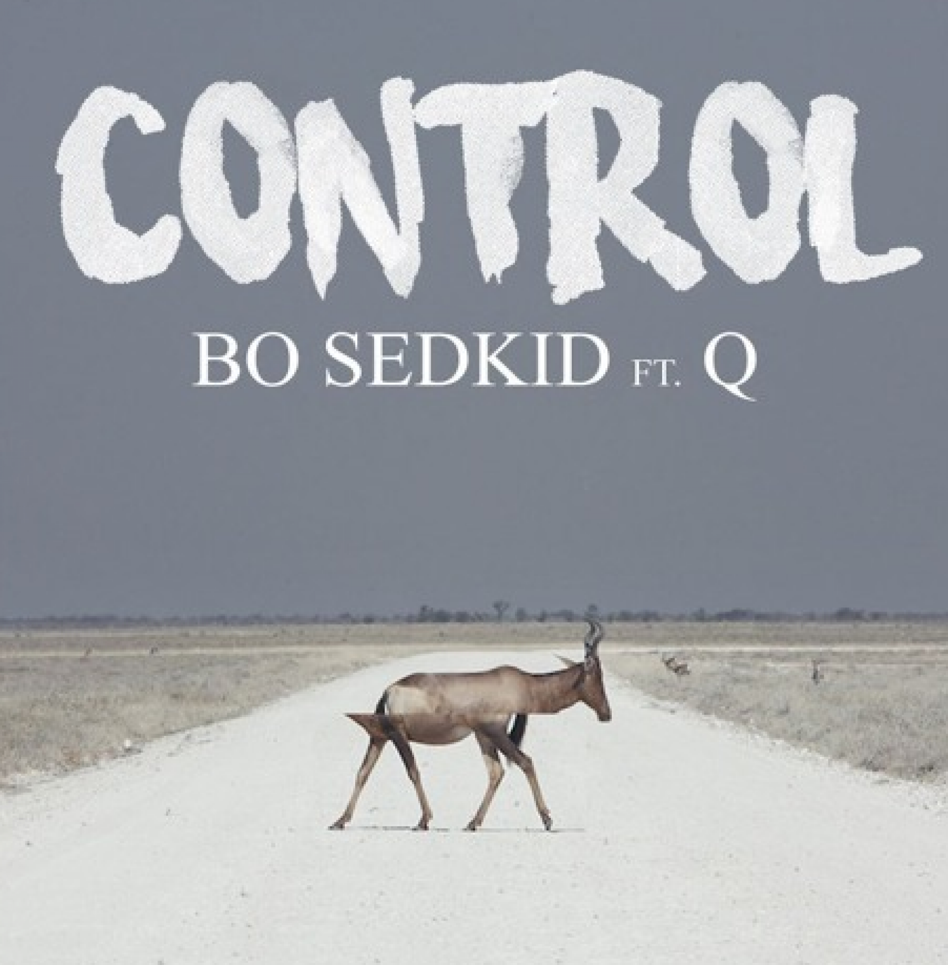 Bo Sedkid ft. Q – Control