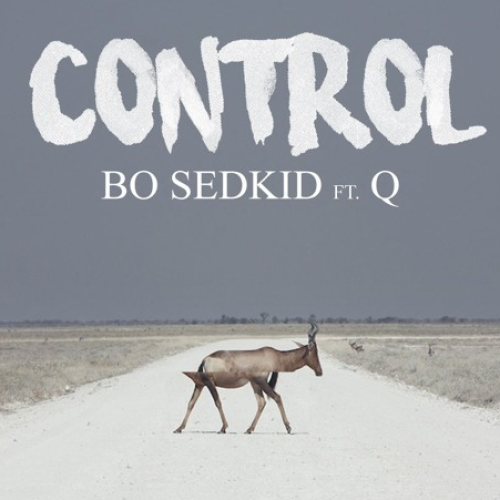 Bo Sedkid ft. Q – Control