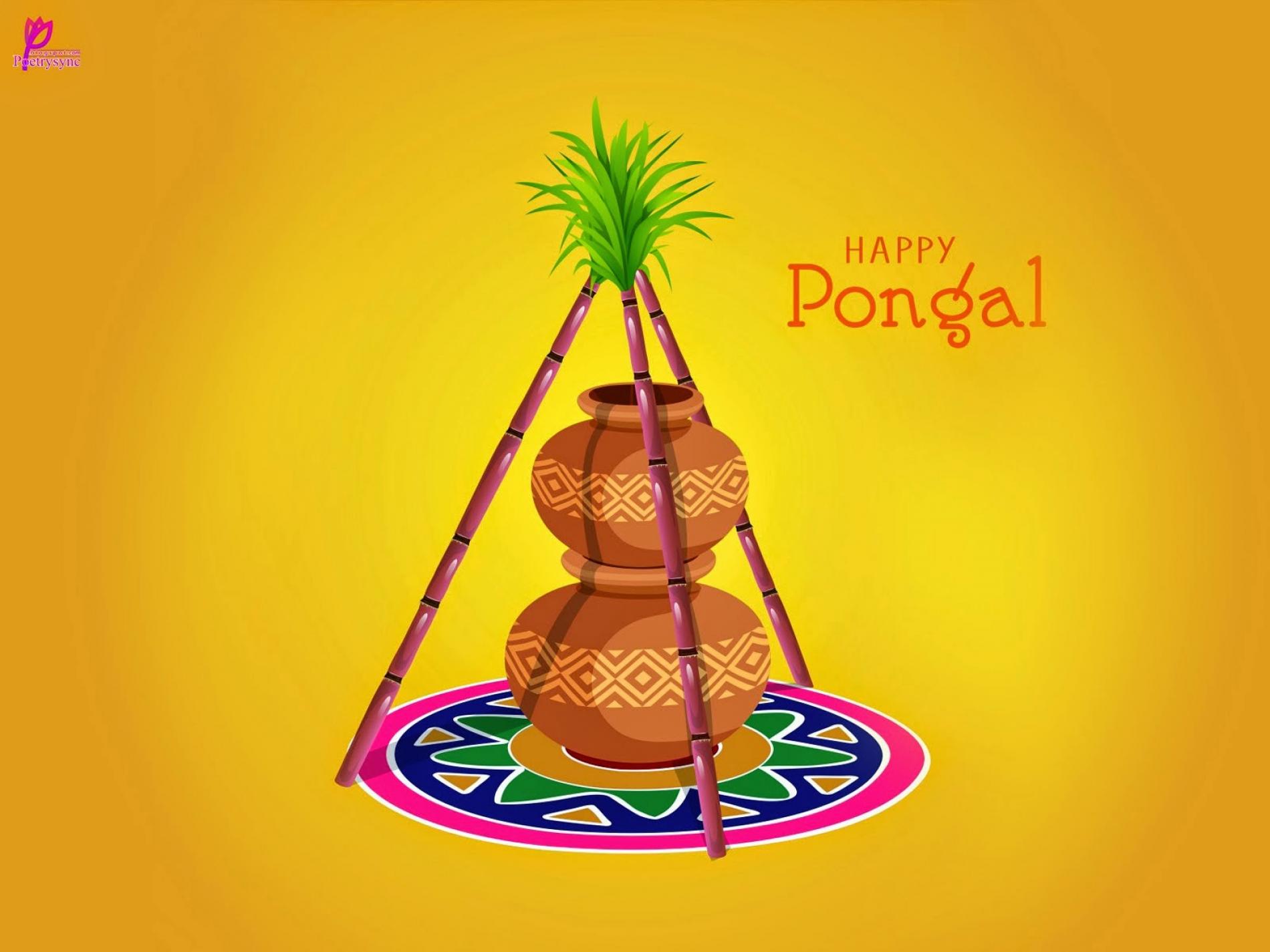 Happy Thai Pongal From Us To You!