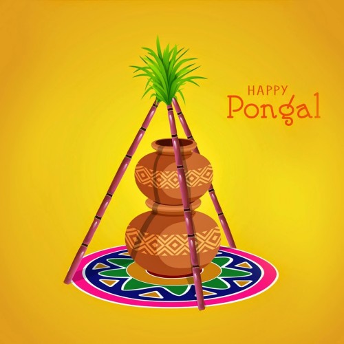 Happy Thai Pongal From Us To You!