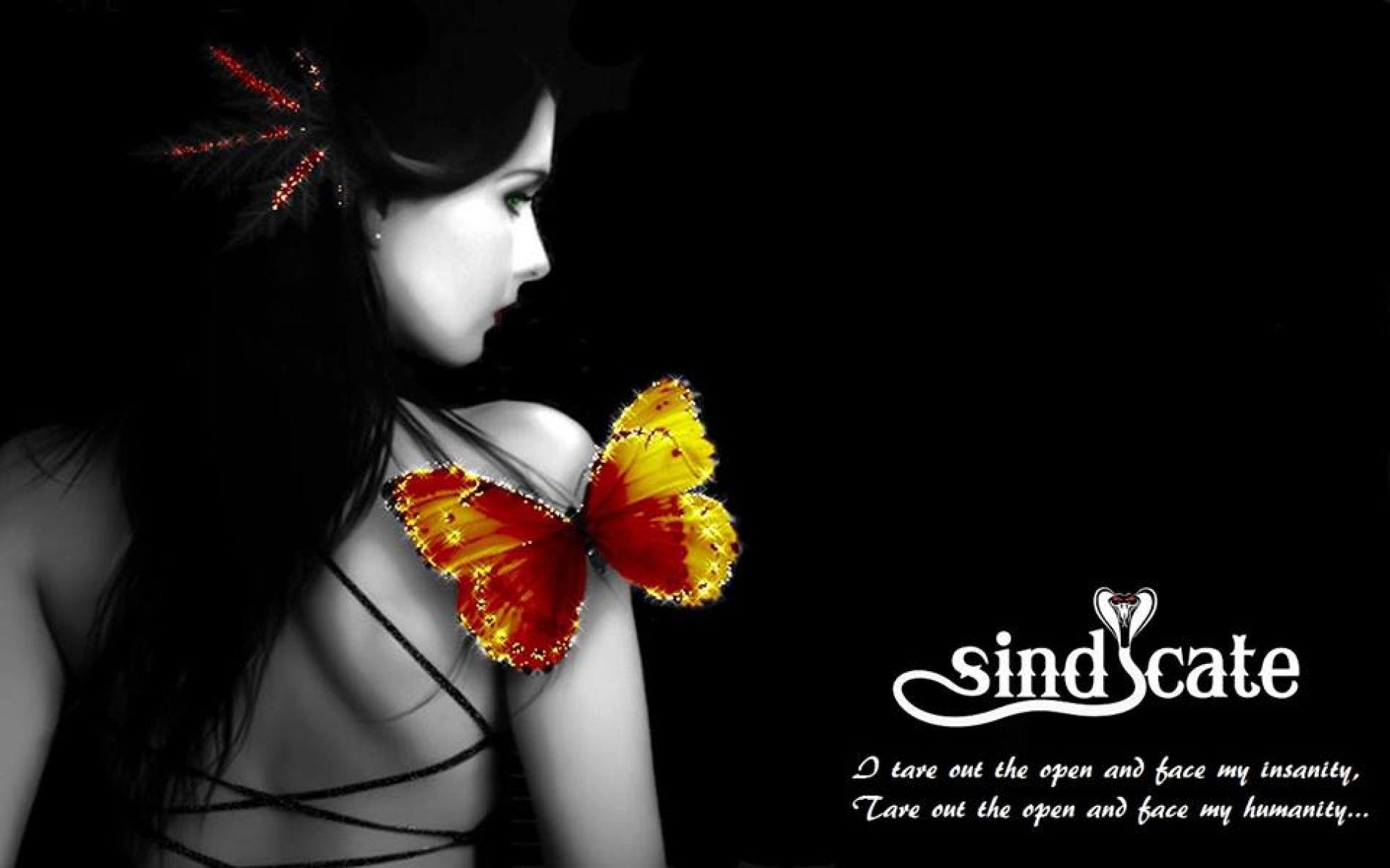 Sindicate – Butterfly