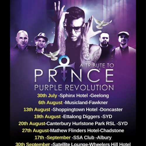 Purple Revolution Plays This Saturday