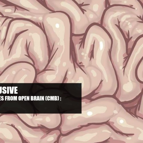 Decibel Exclusive : Michael & Ohan From Open Brain