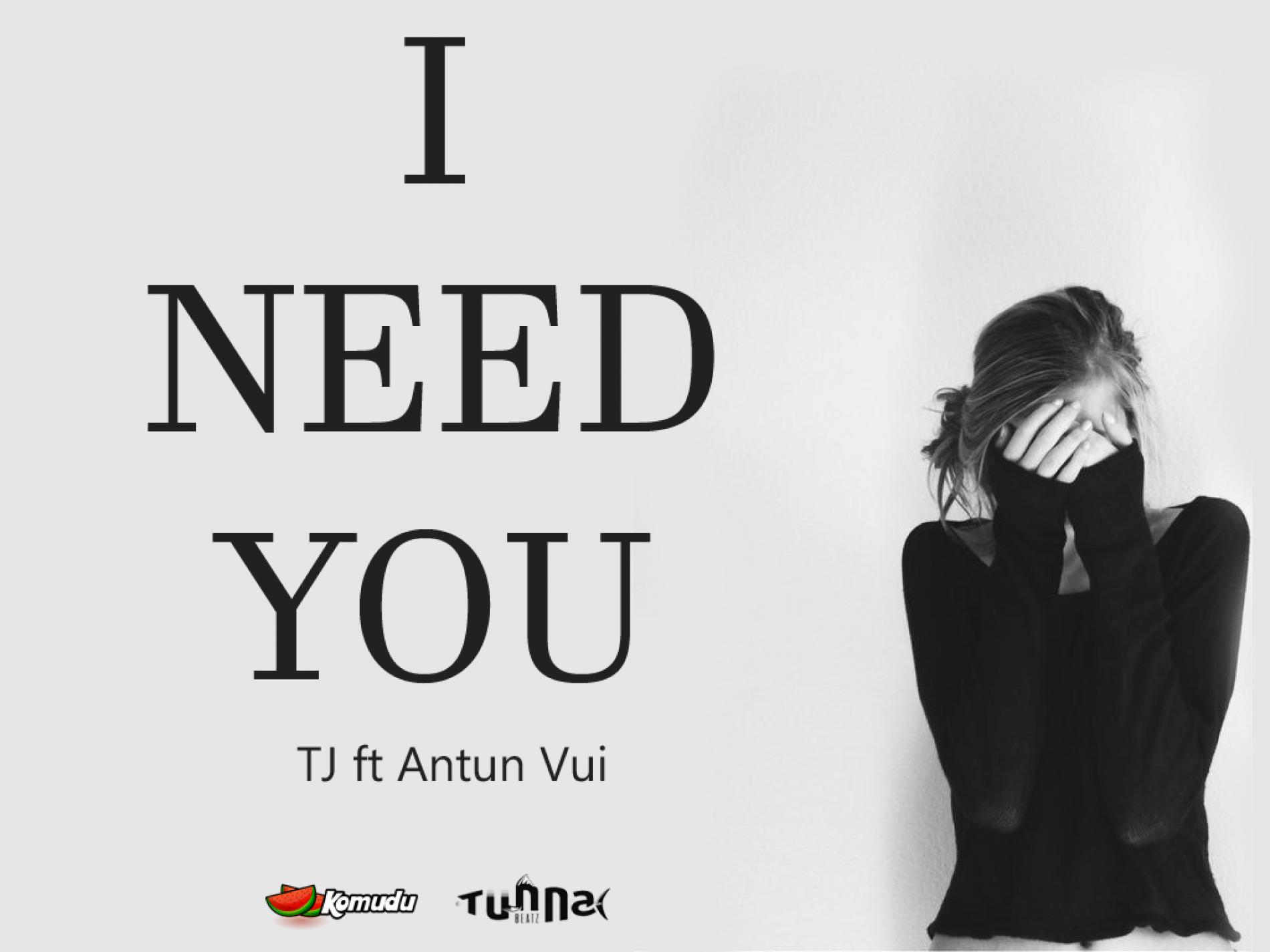 Tj ft Antun Vuić – I Need You