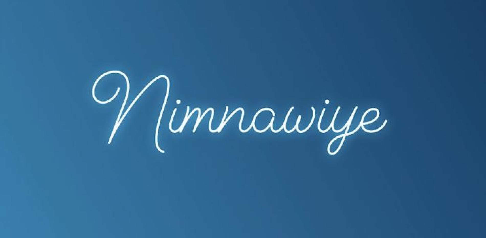 Iraj Ft. Nadeera | Shermaine Willis & Master D – Nimnawiye (Official Audio)