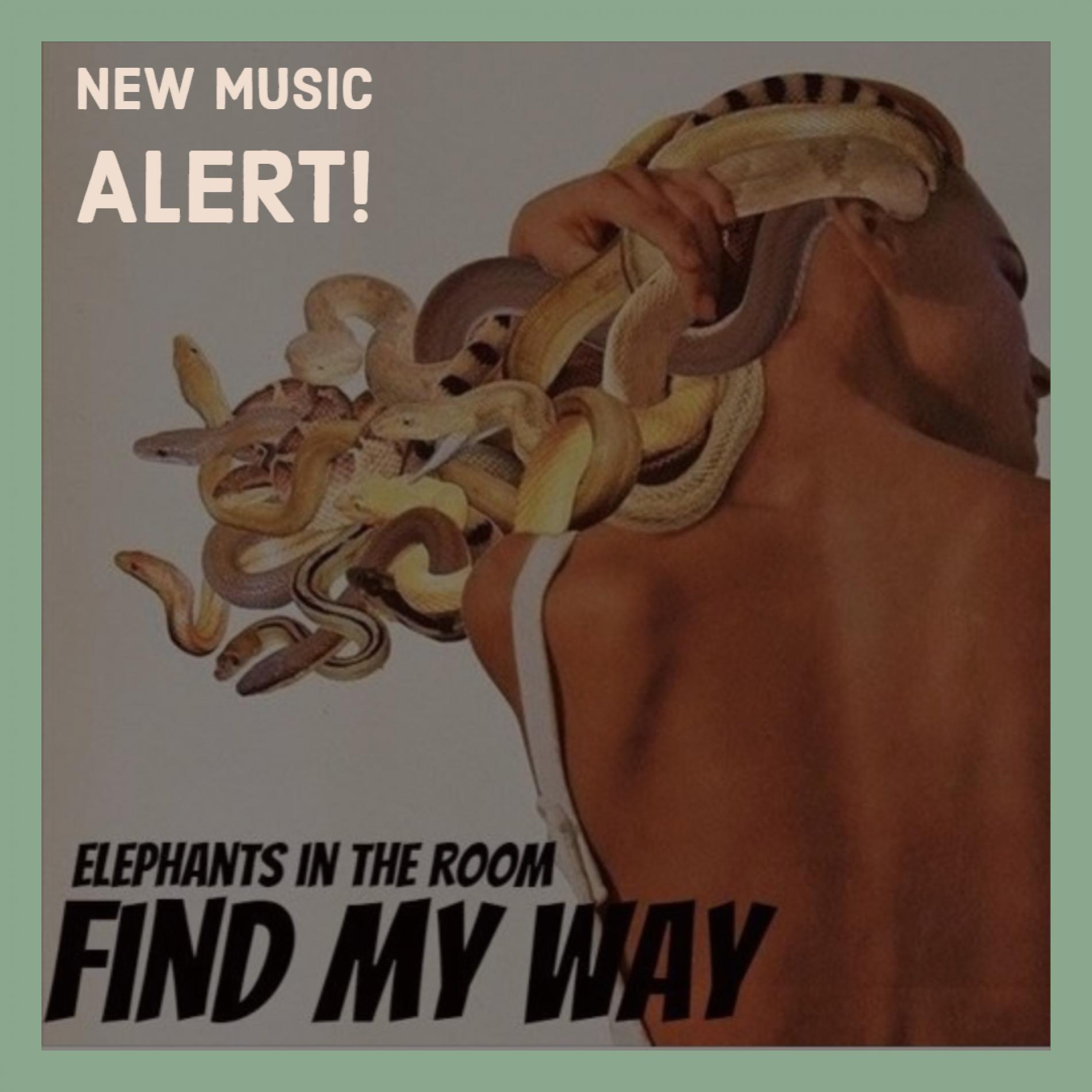 Elephants In The Room – Find My Way