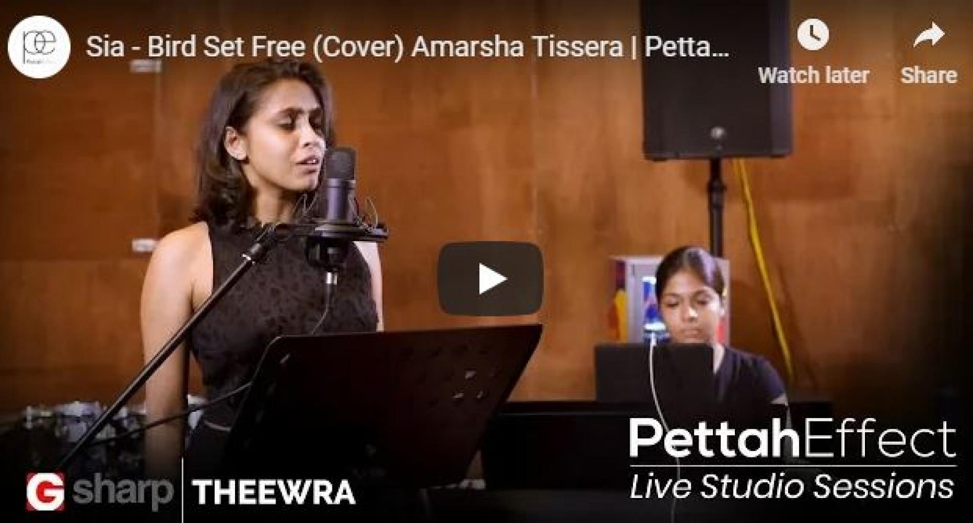 Sia – Bird Set Free (Cover) Amarsha Tissera | Pettah Effect Live Studio Sessions