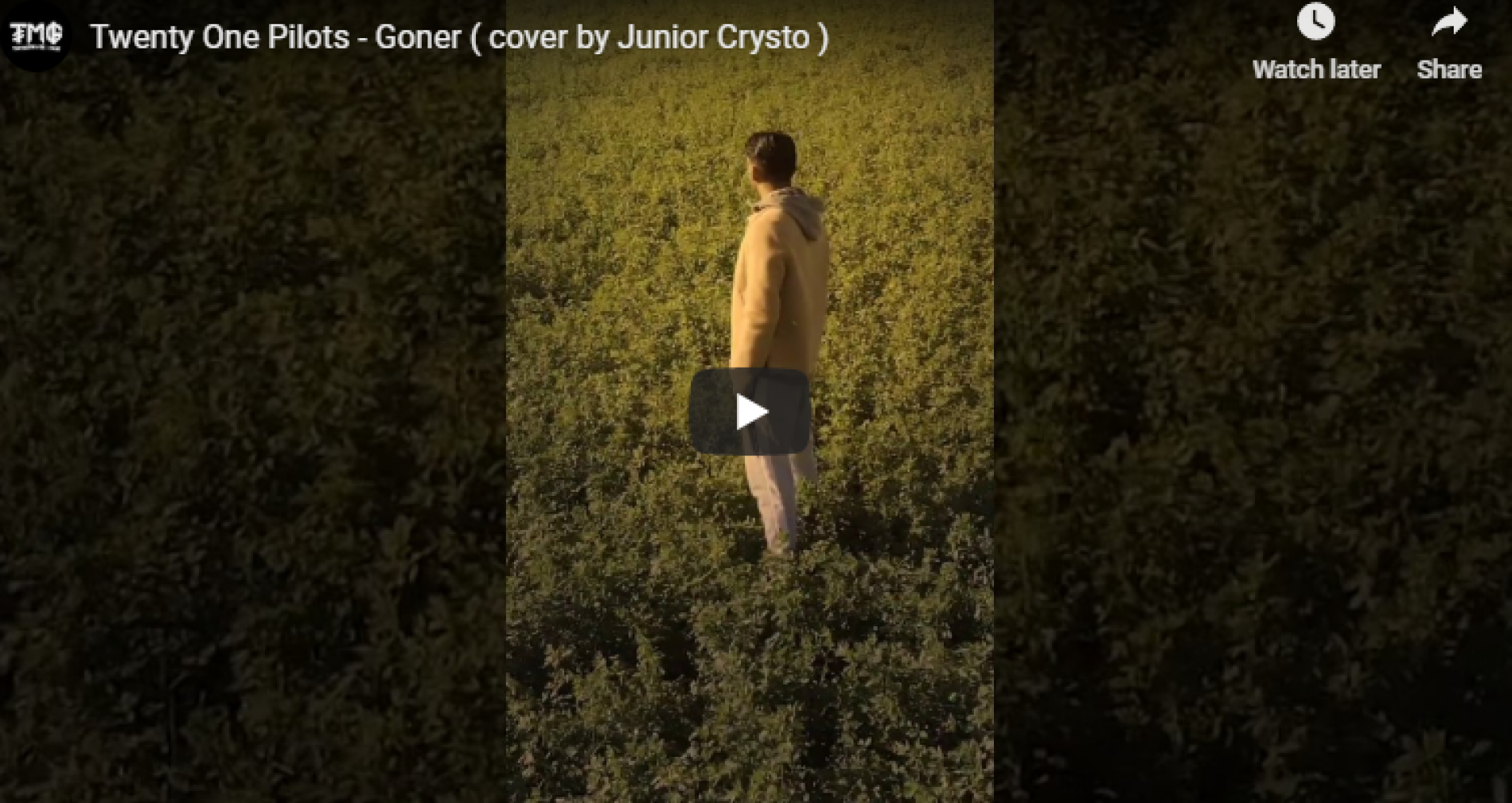 Twenty One Pilots – Goner (cover by Junior Crysto )