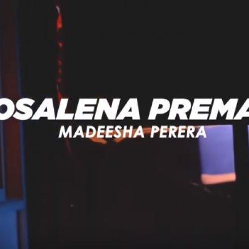 Nosalena Premaya නොසැලෙන ප්‍රේමය | Madeesha Perera