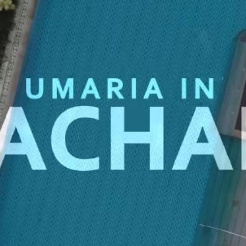 New Music : Ayachana – Umaria | ආයාචනා – උමාරියා