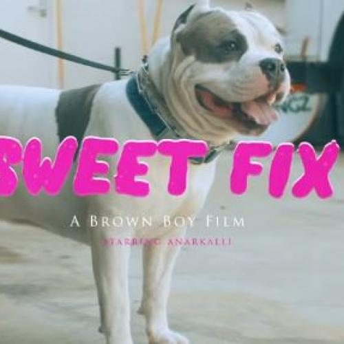 New Music : Sweet Fix- Brown Boy Starring Anarkalli