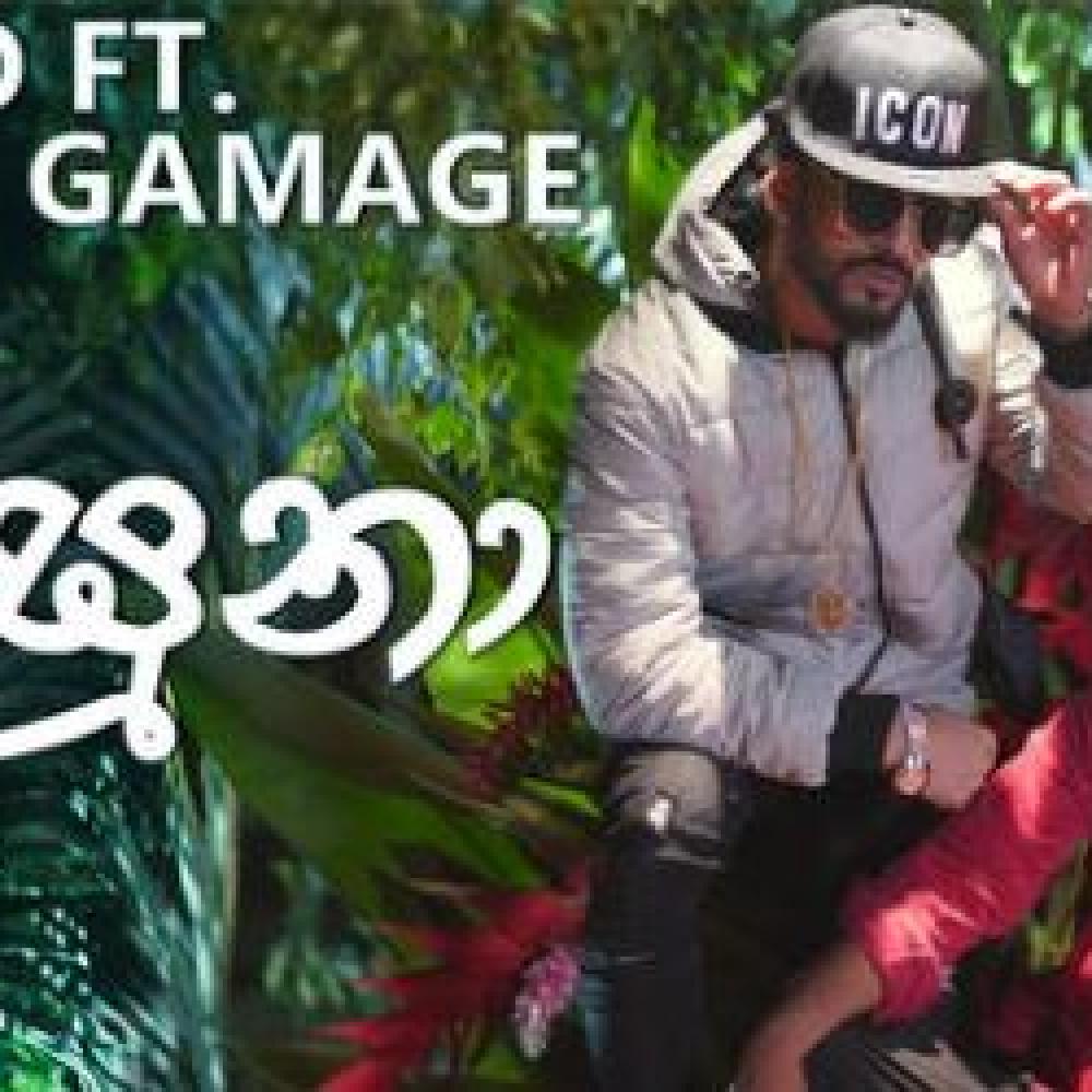 Tag: Smokio | Decibel