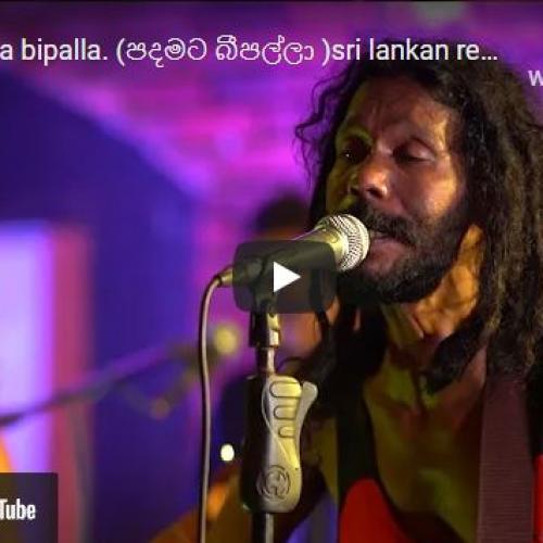 New Music : padamata bipalla (පදමට බීපල්ලා )sri lankan reggae song by Shane Vanderwall