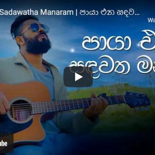 New Music : Paya ena Sadawatha Manaram | පායා එන සඳවත මනරම් Cover By Gimantha Arampath