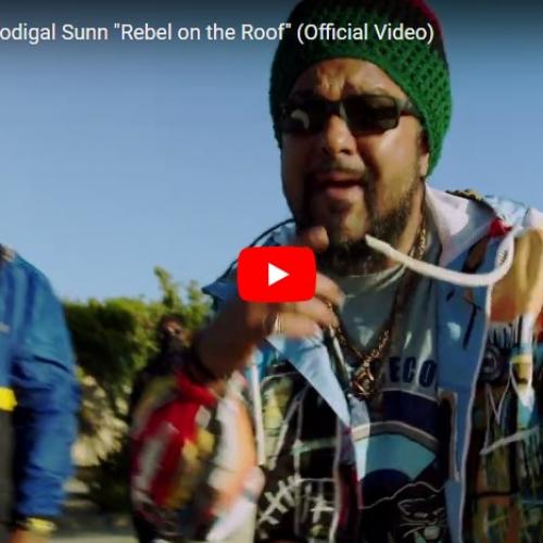 New Music : Ras Ceylon & Prodigal Sunn “Rebel on the Roof” (Official Video)