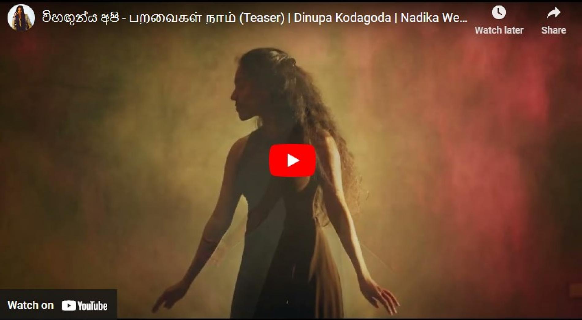 New Music : විහඟුන්ය අපි – பறவைகள் நாம் (Teaser) | Dinupa Kodagoda | Nadika Weligodapola | THEEVRA| MinorMatters