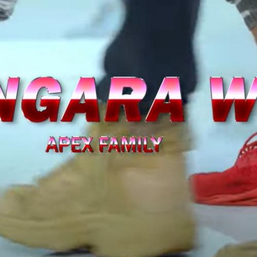 New Music : Shungara Vise (ශුංගාර විසේ) APEX FAMILY ft Sanju Ramesh SR Official Music Video
