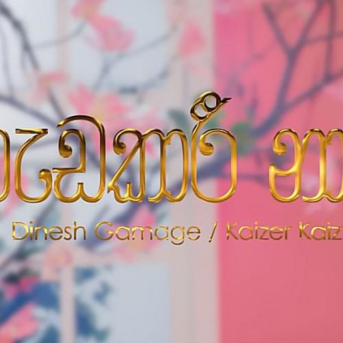 New Music : Hadakari Naari – Dinesh gamage / Kaizer kaiz (Official Music Video)
