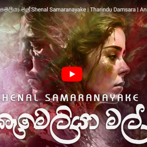 New Music : Camellia Mal කැමෙලියා මල් Shenal Samaranayake | Tharindu Damsara | Anjalee Bandara | Isuru Withanage