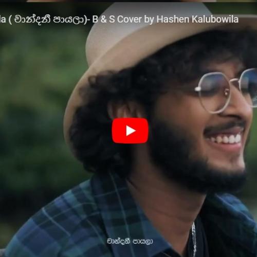 New Music : Chandani Payala ( චාන්දනී පායලා)- B & S Cover by Hashen Kalubowila