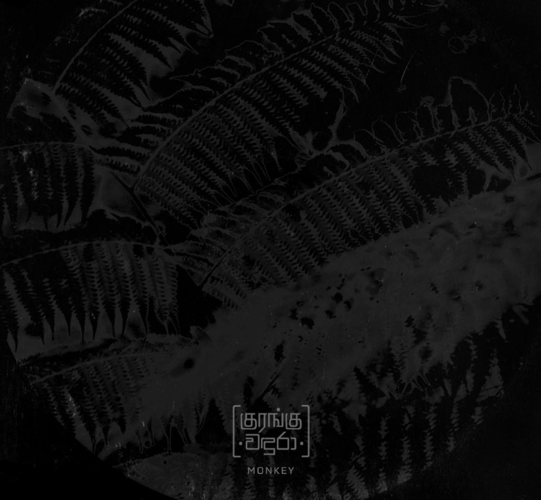 New Music : Vinthya Perinpanathan Ft Nuwan Gunawardhana – Monkey