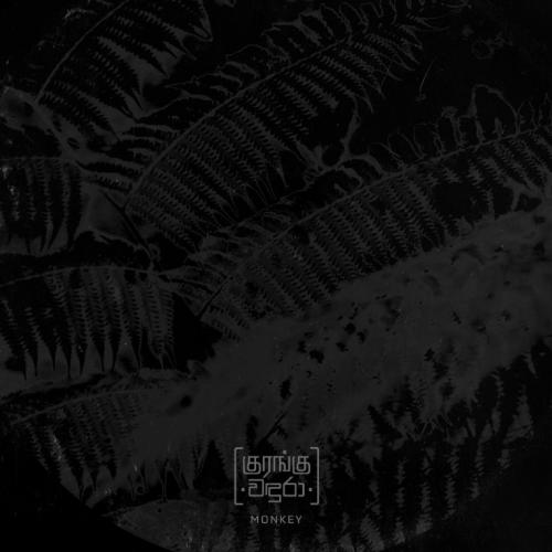 New Music : Vinthya Perinpanathan Ft Nuwan Gunawardhana – Monkey