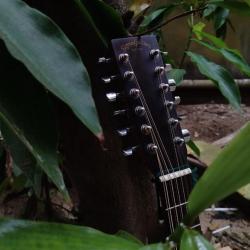 New Ep : from my mother’s garden by imaad majeed