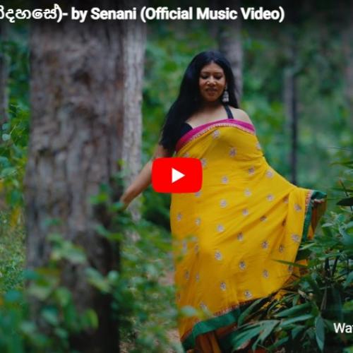 New Music : Nidahase (නිදහසේ)- by Senani (Official Music Video)